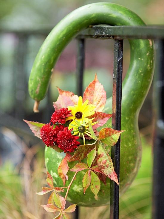 Ornamental græskarblomstervase-grøn efterårsatmosfære på altanmetalrækværk