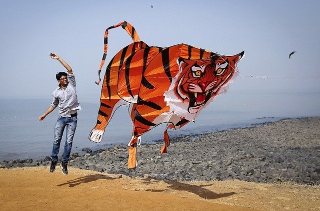 Dragon tiger indien cool idé