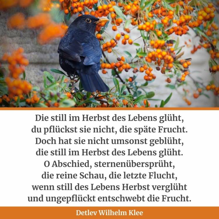 Flot digt om den gyldne årstid - efterårsvers af Detlev Klee
