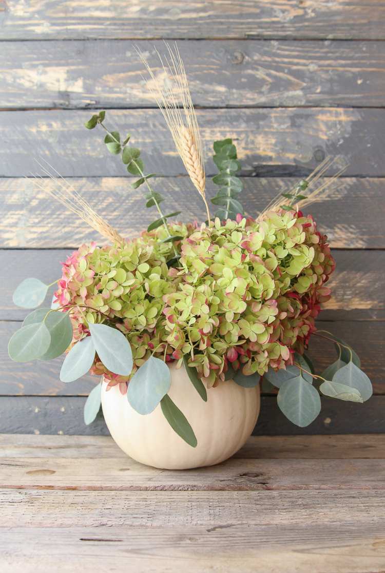 græskar blomstervase arrangere efterårsdekoration med hortensiaer