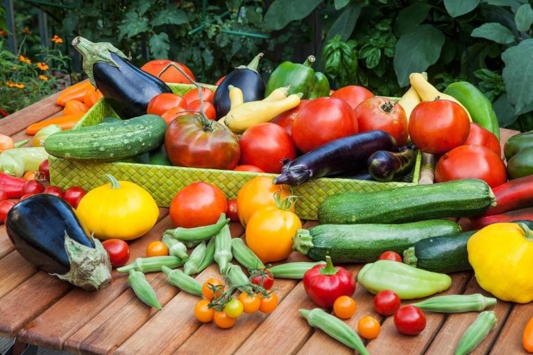 Plantning af en bakke, plantningsinstruktioner, grøntsager, tomater, sorter, havedrends