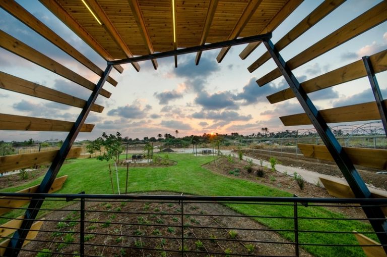 trægulv loft udsigt panorama tagdækning altan græsplæne natur