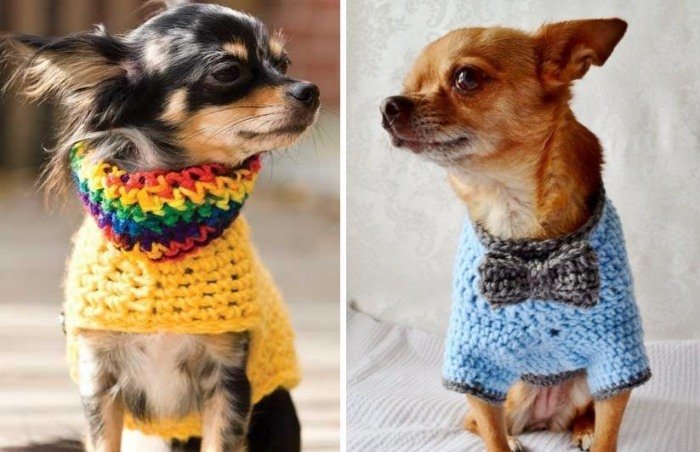 hundetøj-ideer-hunde-sweater-strik-farverig