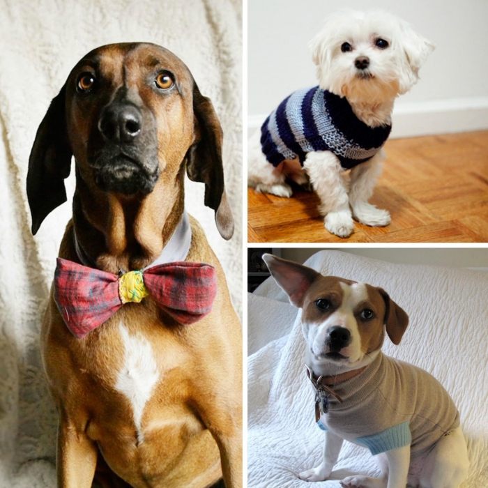 Hundetøj-DIY-Hundetilbehør-Sløjfe trøjer