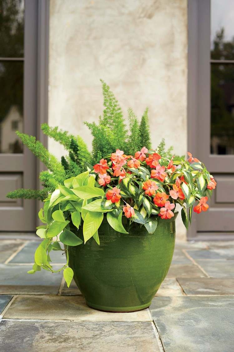 Kombiner potteplanter til en solrig terrasse