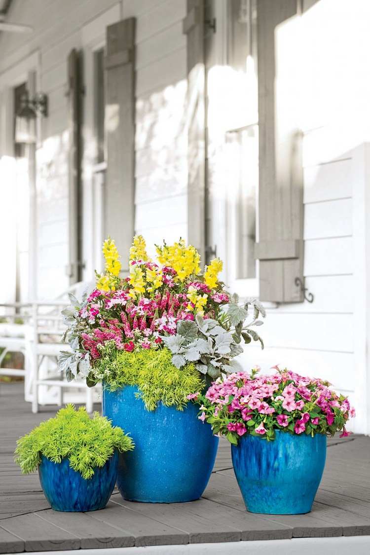 Sommerplanter til kar. Lyserøde blomster