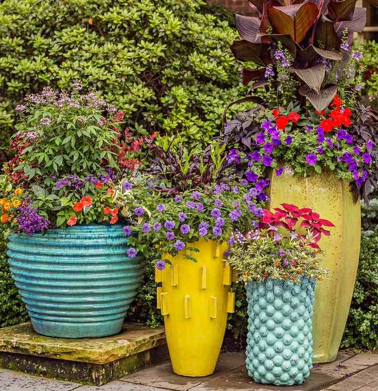 Sommerplantning til kar er sådan, du opretter en terrasse med sommerblomster