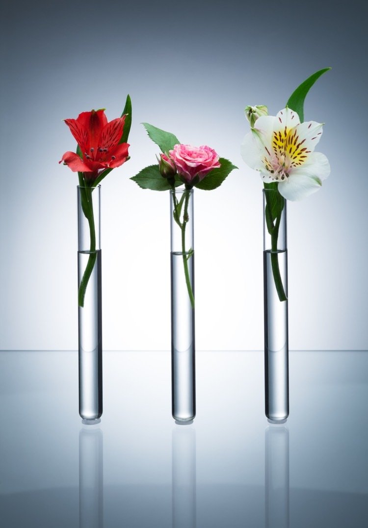 ideer til reagensglas blomster-blomster-vaser-kalkmalerier