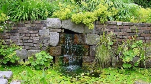 Vand væg springvand grønne planter have