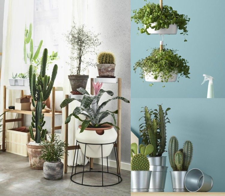 ikea-deco-idéer-katalog-2018-plante-planter-containere