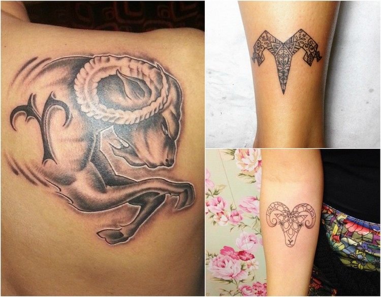 Zodiac tatovering vædder-symboler-dyr-styrke-skulderblad-underarm-kalv