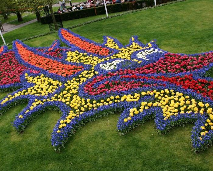 Dekorera din gräsmatta med blommande ettåriga