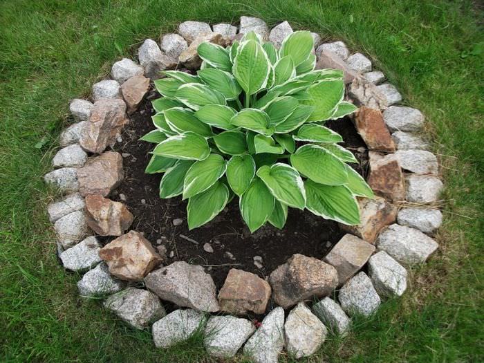 Einrahmen von Blumenbeeten für Hosta mit mittelgroßen Steinen