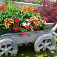 Blombädds-vagn med blommor i dekorationen av en trädgårdsdamm