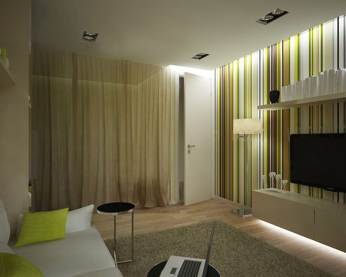 Zonarea spațiului unui apartament cu o cameră folosind un ecran