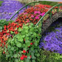 Διακόσμηση λουλουδιών με τη μορφή γέφυρας πάνω από το ρεύμα