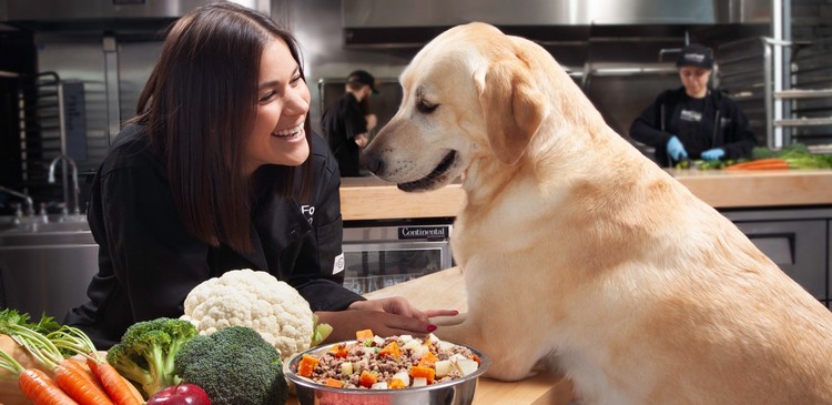 Forbereder hundefoder selv Tips Keto -diæt til hunde med kræft