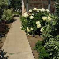 en variant av användningen av vackra trädgårdsvägar i utformningen av gårdsbilden