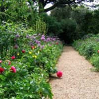 tanken på att använda vackra trädgårdsvägar i utformningen av gårdsbilden