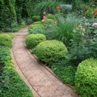 tanken på att använda vackra trädgårdsvägar i utformningen av gårdsfotoet
