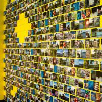 Κίτρινος τοίχος με έγχρωμες φωτογραφίες