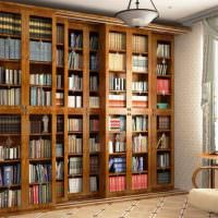 ארונות ספרים עם דלתות לאורך קיר הסלון