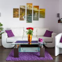 צבע סגול בעיצוב הסלון