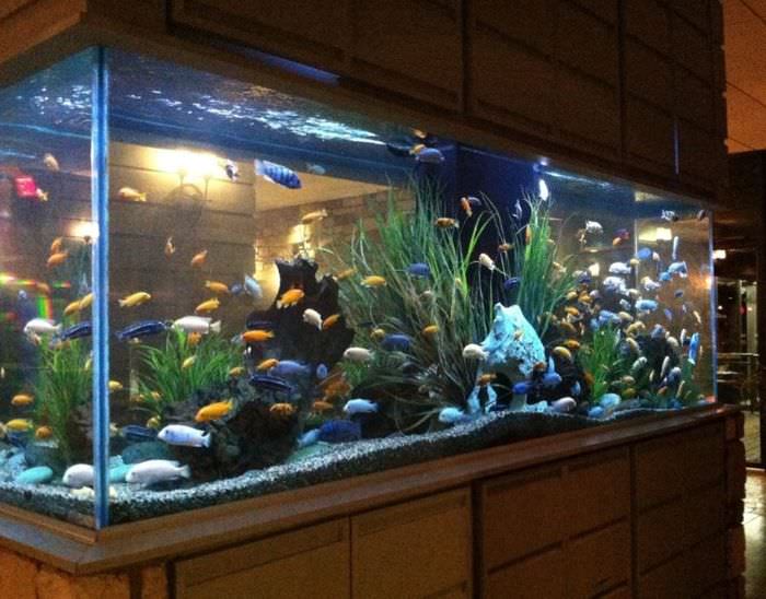 Akvaario, jossa on suorakulmainen pohja olohuoneessa