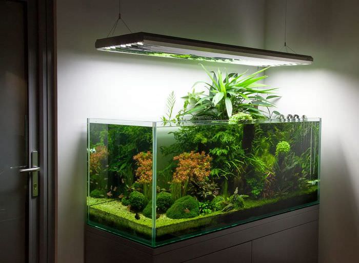 LED -valaistus suorakulmaisen akvaarion yläpuolella