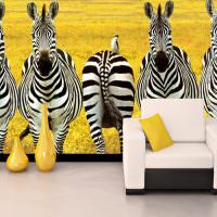 Fototapeta s pruhovanými zebrami na stene obývačky
