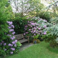 Ein gemütlicher Ort zum Entspannen im Garten mit einer Holzbank