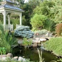 ein kleiner Teich in einem klassischen Gartenerholungsgebiet