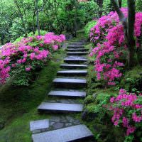 Kerti lépcső természetes kőből