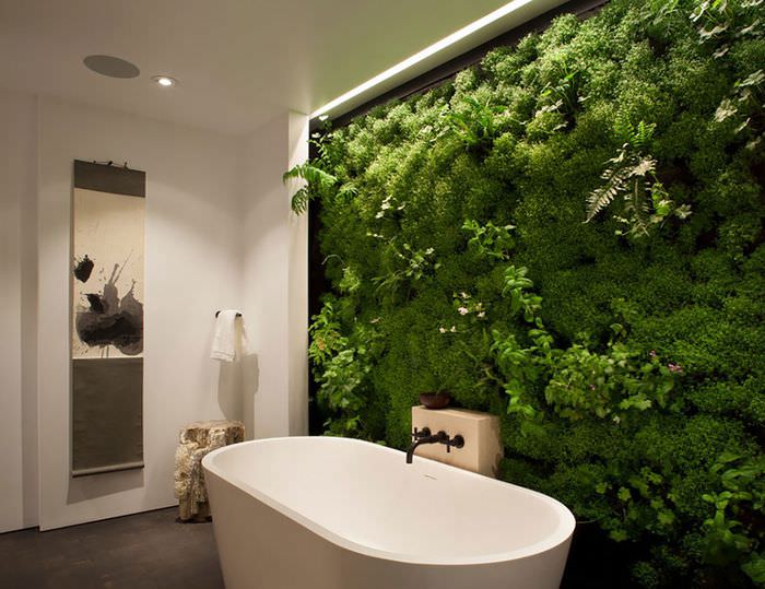 Nástenná dekorácia v kúpeľni so živými rastlinami