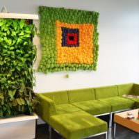 Obývacia stena zo zelených rastlín v obývačke