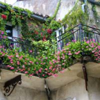 Malý balkón pokrytý čerstvými kvetmi