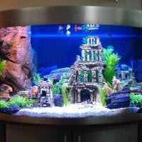 فكرة إنشاء صورة جميلة لحوض السمك في المنزل