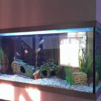 možnosť jasného obrázka dekorácie domáceho akvária