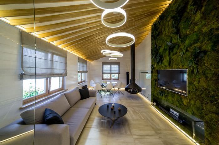 Obývacia stena rastlín v dizajne štúdiového bytu