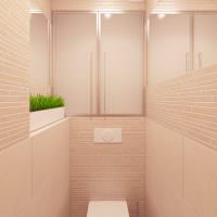 Dizajn toalety v ekologickom štýle