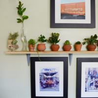 Drevená polica pre izbové rastliny