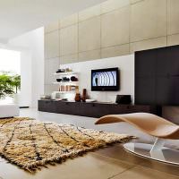 Vardagsrum i minimalistisk stil med levande växter