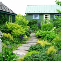 Διαμορφώστε τον κήπο σας σε στυλ ερημιάς