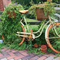 Starý bicykel ako retro záhon