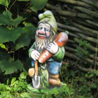 Σπιτικό gnome με καρότα σε διακόσμηση κήπου