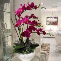 Umelá orchidea v bielej váze