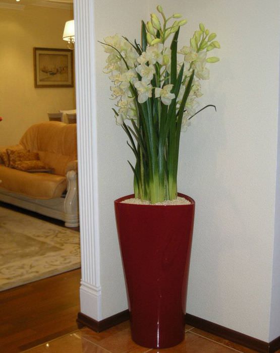 Podlahová váza v interiéri obývačky