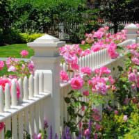 Decorul unui gard din lemn cu plante cu flori