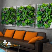 Modulære malerier fra levende planter