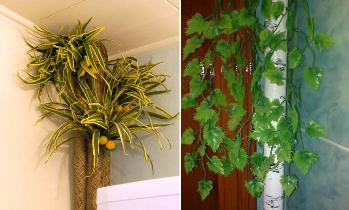 צמחים המקשטים את קומה החימום בדירה